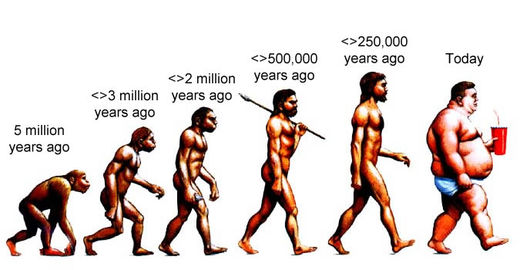 evoluutio