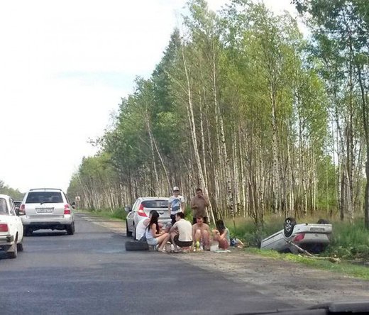 Picnic