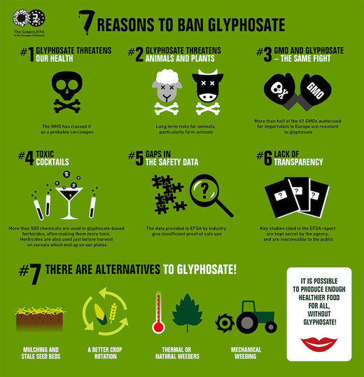 glyphosphate