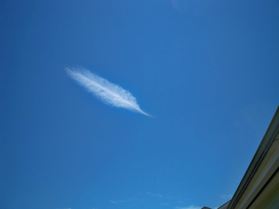 Feather-cloud