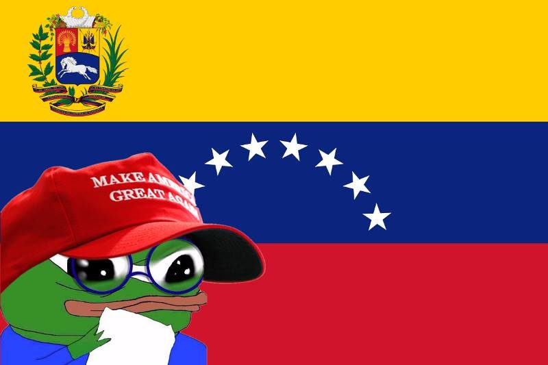venezuela flag pepe frog maga hat