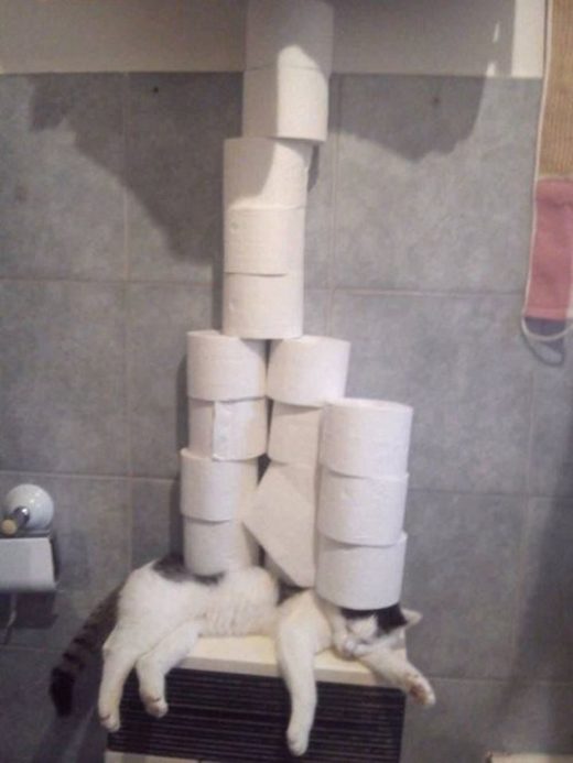Klikkaa suurentaaksesi Heavy load of responsibility