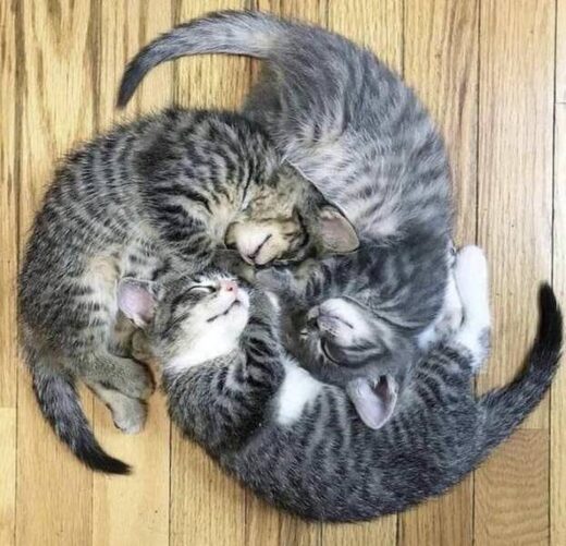 Optimal packing